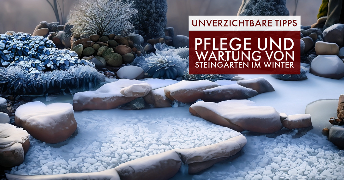 Wintergarten Visualisierung zum Thema Pflege und Wartung von Steingärten